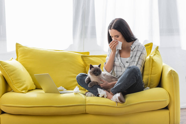 allergic woman wiping nose with paper napkin while sitting on sofa with cat near laptop - Photo, Image