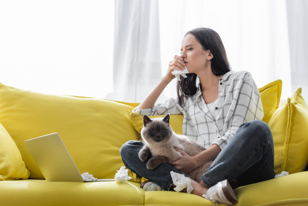 jeune pigiste souffrant d'allergie tout en étant assis sur le canapé avec chat près d'un ordinateur portable - Photo, image