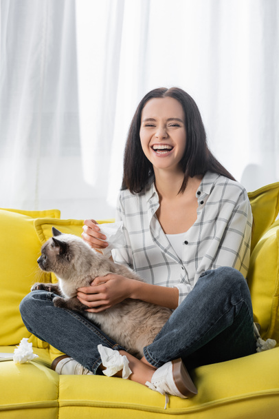 excited woman laughing while sitting on yellow sofa with cat - 写真・画像