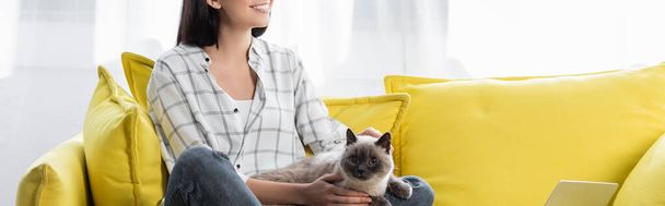 partial view of smiling woman sitting on yellow couch with cat, banner - Photo, image