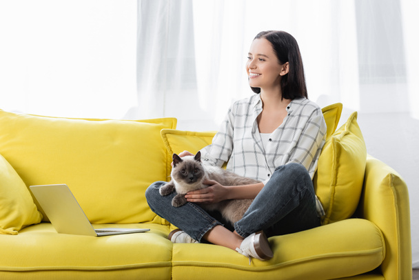 szczęśliwy freelancer siedzi na żółtej kanapie z kotem w pobliżu laptopa - Zdjęcie, obraz