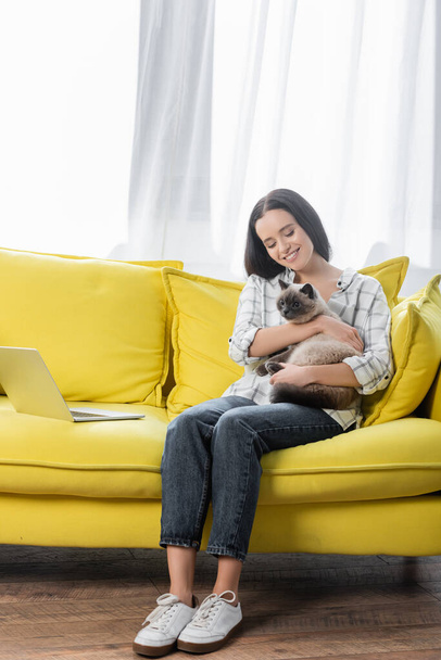 sonriente freelancer sentado en un sofá cerca del portátil y abrazando a un gato esponjoso - Foto, imagen
