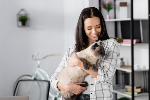 happy young woman holding fluffy cat at home - Foto, imagen