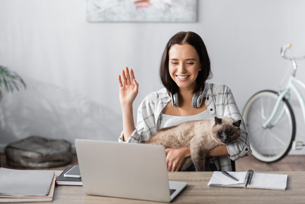 Χαρούμενος ελεύθερος επαγγελματίας κρατώντας γάτα και χαιρετώντας το χέρι κατά τη διάρκεια της βιντεοκλήσης στο φορητό υπολογιστή - Φωτογραφία, εικόνα