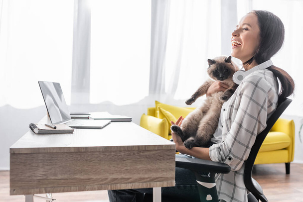 Aufgeregter Freiberufler lacht, während er neben Laptop mit Katze sitzt - Foto, Bild