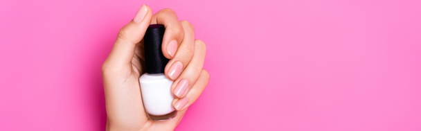 top view of groomed female hand of bottle with white nail polish on pink background, banner - Fotografie, Obrázek