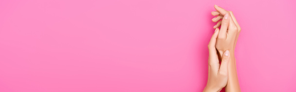 ピンクを背景にパステルマニキュアで手入れされた女性の手のトップビュー、バナー - 写真・画像
