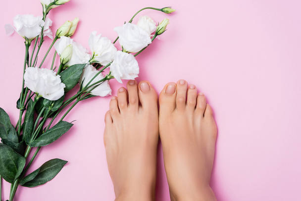 vista superior de pés femininos com unhas brilhantes perto de flores eustoma branco no fundo rosa - Foto, Imagem