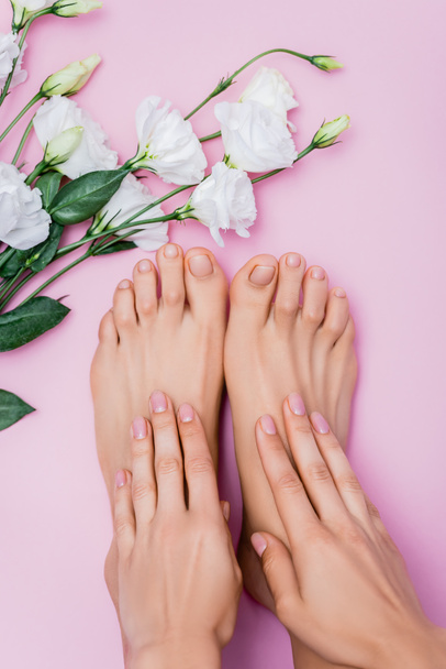 top view of female hands and feet with pastel nail polish near white eustoma flowers on pink background - Photo, Image