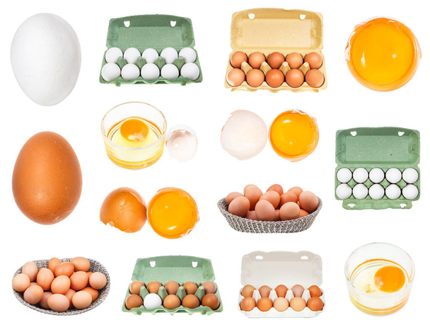白地に隔離された様々な生鶏の卵のセット - 写真・画像