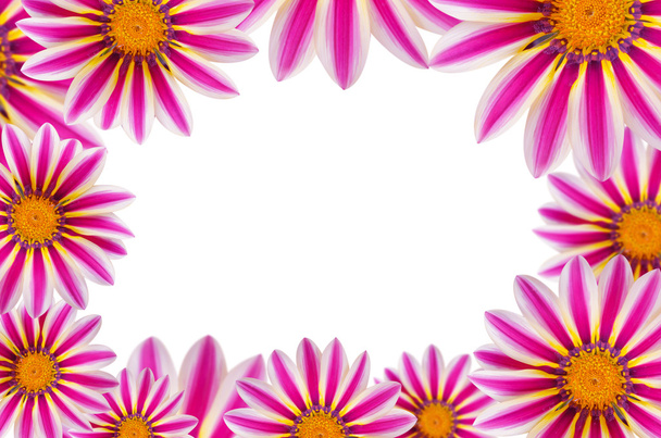  flower background - Photo, image
