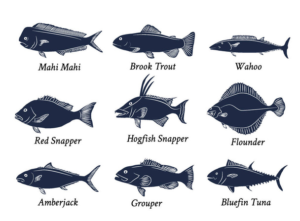 Set of isolated black hand drawn fish with names on white background. Fresh aquactic animal of tuna, trout, snapper etc. - Вектор, зображення