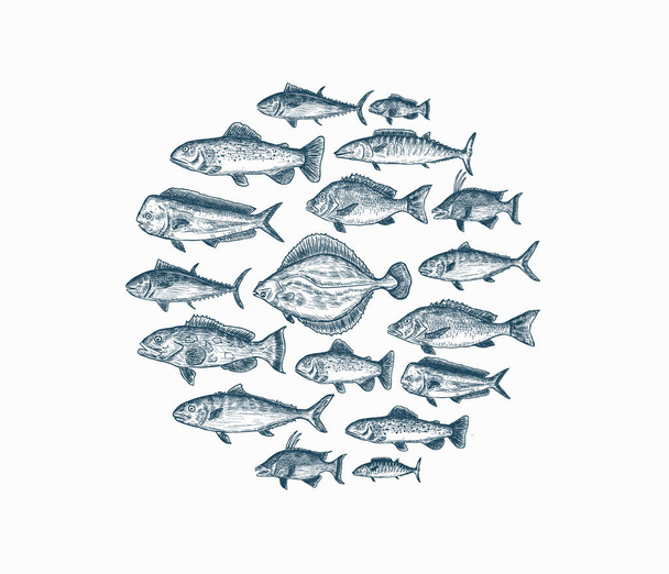 Set of isolated blue hand drawn fish on white background - Vector, afbeelding