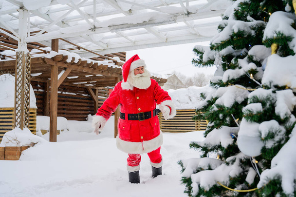 Portrait of santa claus by the christmas tree outdoors - Photo, image