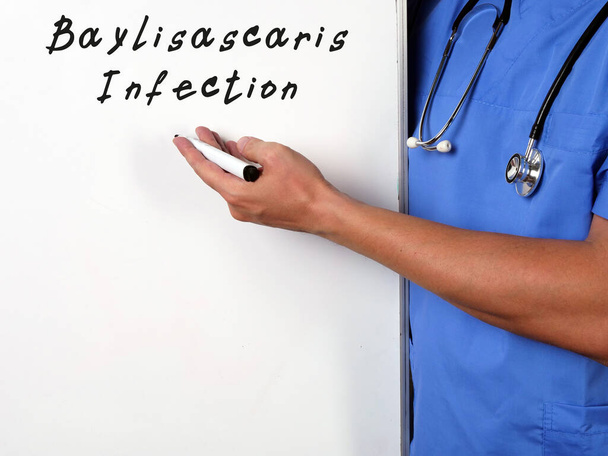 Baylisascaris Signo de infección en la hoja - Foto, imagen
