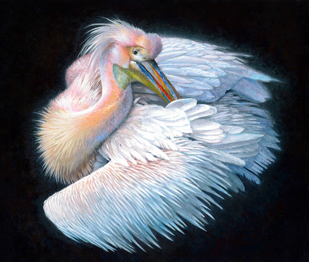 Pink Pelican, realistic acrylic painting on a black background - Fotó, kép