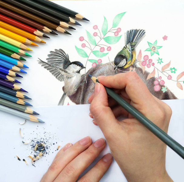 The process of working on a drawing. Drawing with birds - Foto, Imagen