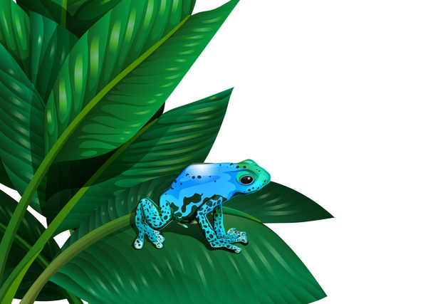 A frog above the leaf of a plant - Vector, Image