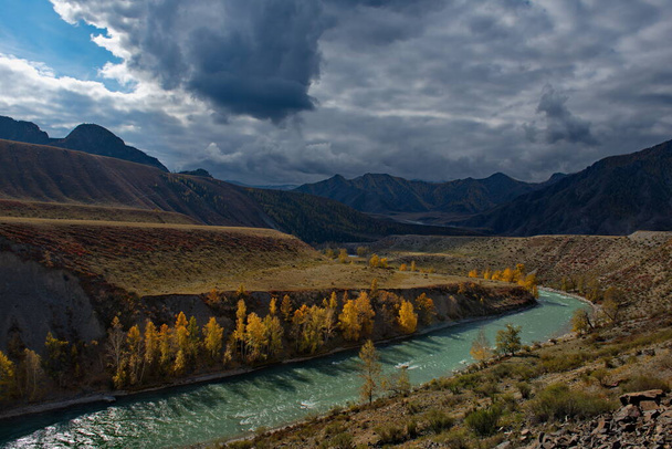 Russia. Mountain Altai. Autumn coast of the Katun river near the mouth of the right tributary of the Chuya. - Photo, Image