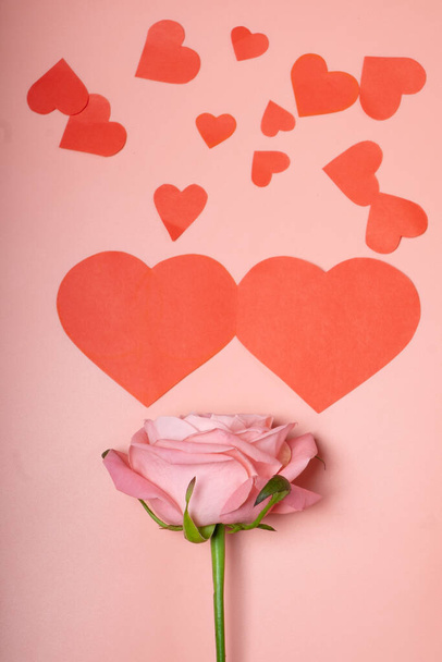 Beautiful rose on a pink background and greeting card for valentine's day. - Fotó, kép