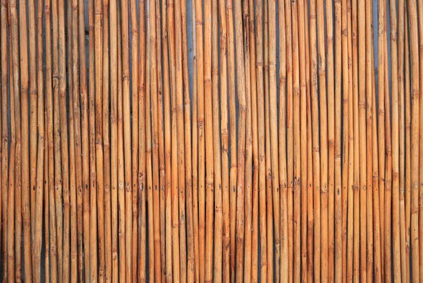 close-up van bamboe muur achtergrond - Foto, afbeelding