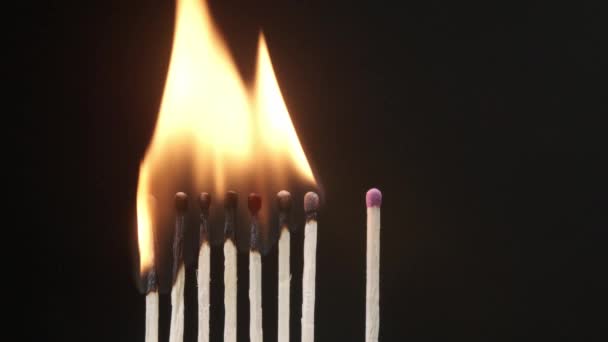 Burning matches and non-burning one on dark background. Concept of social distance - Footage, Video