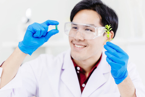 Ázsiai tudós orvoskutató sikeres kivonat gyógyszer zöld növény orvosbiológiai laboratóriumban. - Fotó, kép