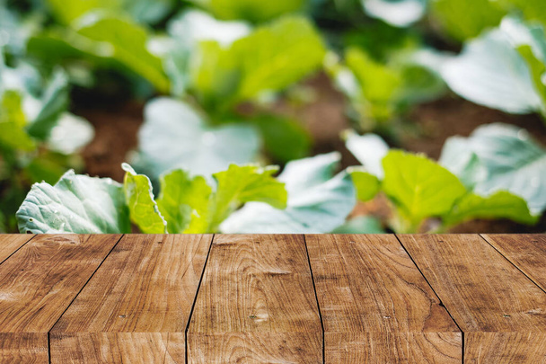 Planta de horta em casa Blur no quintal com espaço de primeiro plano de mesa de madeira para fundo de publicidade natural - Foto, Imagem