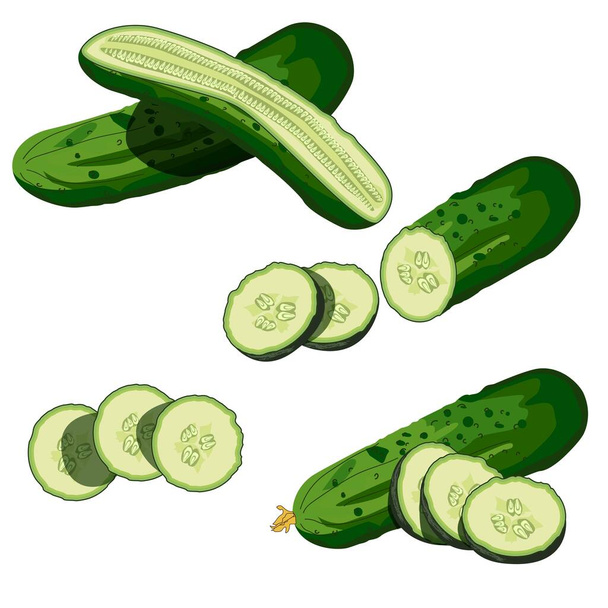Komkommers klaar. Hele komkommer, half, gehakt, plakjes en komkommers groep. Verse groene komkommers. Biologische groenten. Gezond, dieet, vegetarisch voedsel. Vector illustraties geïsoleerd op witte achtergrond. - Vector, afbeelding