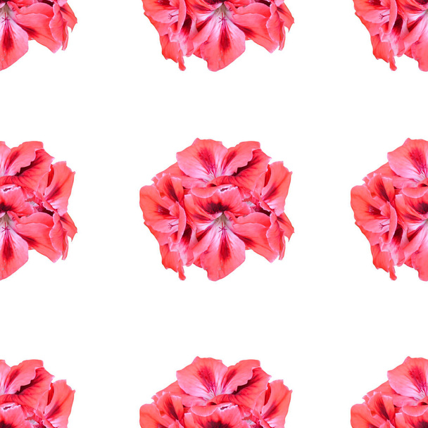 Elegáns varrat nélküli minta rózsaszín muskátli virágokkal, design elemekkel. Virágmintás meghívók, üdvözlőlapok, scrapbooking, print, ajándékcsomagolás, gyártás, textil  - Fotó, kép
