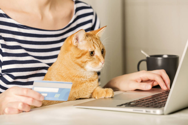 Een Aziatische vrouw heeft een creditcard en is gelukkig online winkelen in haar bed. En er is een kat naast. Begrippen online winkelen, levensstijl, thuisblijven, banken, financiële transacties. - Foto, afbeelding