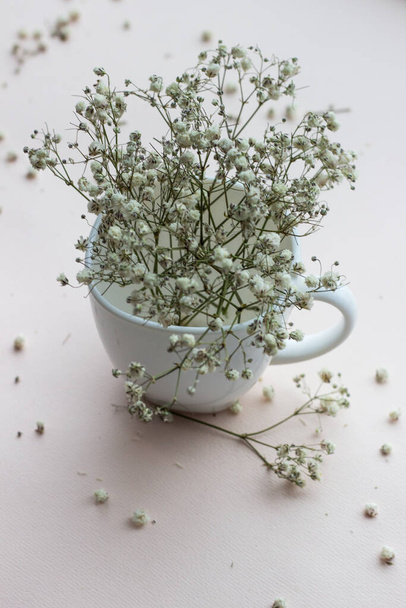 букет білих квітів у скляній вазі або в чашці на світлому романтичному фоні. - Фото, зображення