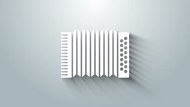 Instrumento musical blanco icono de acordeón aislado sobre fondo gris. Clásico bayan, armónico. Animación gráfica de vídeo 4K - Metraje, vídeo