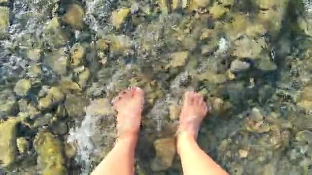 Chica se para descalza sobre piedras de río poco profundo primer plano en soleado - Imágenes, Vídeo