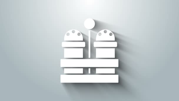 Icono de sal blanca y pimienta aislado sobre fondo gris. Cocinar especias. Animación gráfica de vídeo 4K - Imágenes, Vídeo