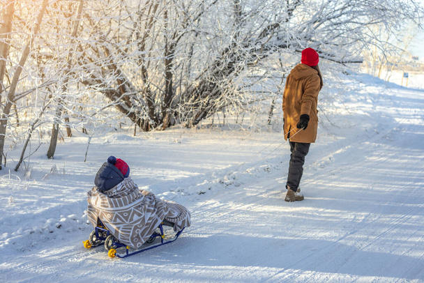 Maman tire un enfant sur un traîneau marchant par un hiver givré Journée ensoleillée à l'extérieur. Bébé enveloppé dans une couverture promenades sur un traîneau - Photo, image
