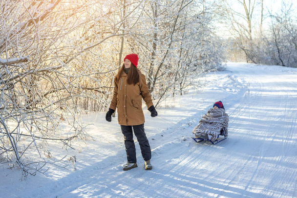 Η μαμά τραβάει ένα παιδί σε ένα έλκηθρο περπατώντας σε ένα παγωμένο χειμώνα Ηλιόλουστη μέρα έξω από τις πόρτες. Μωρό τυλιγμένο σε μια κουβέρτα βόλτες σε έλκηθρο - Φωτογραφία, εικόνα