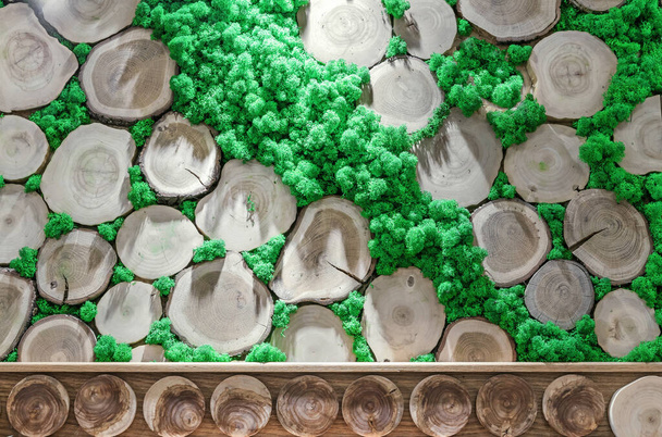 Büyüme halkaları ve yeşil yosunları olan yuvarlak ağaç kesimleri. Ahşap ve yosunlu duvar paneli. - Fotoğraf, Görsel