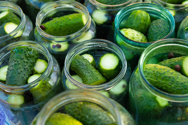 harvesting pickled cucumbers,gherkins in jar - Photo, Image