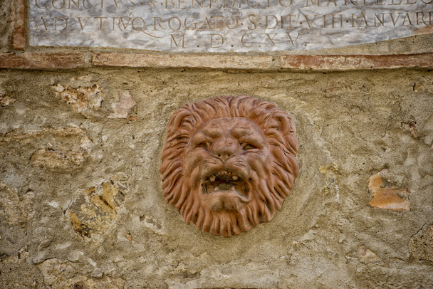 Средневековый лев Тосканы
  - Фото, изображение