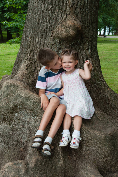 Δύο παιδιά κάθονται στο δέντρο. Όμορφο αγόρι αδελφός αγκαλιάζει μικρή αδελφή - Φωτογραφία, εικόνα