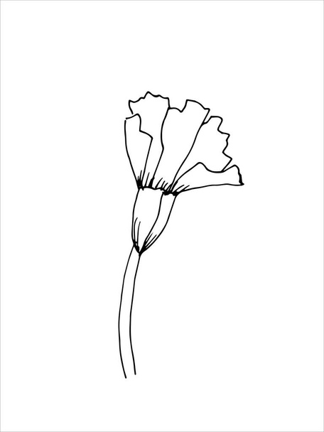 fleur d'oeillet. La version originale. Doodle. Image en noir et blanc. Minimalisme. - Vecteur, image