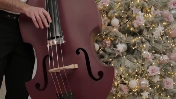 homem com violinos tocando alegremente música no quarto com decorações de Natal - Filmagem, Vídeo