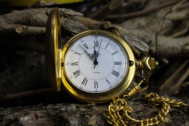 Viersen, Germany - May 9 .2020: Macro close up of isolated golden antique pocket watch with filigree movement clockwork, lid, chain on natural bark of tree trunk - Foto, Imagem