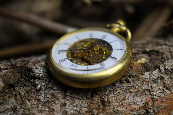 Viersen, Germany - May 9 .2020: Macro close up of isolated golden antique pocket watch with filigree movement clockwork on natural bark of tree trunk - Fotografie, Obrázek