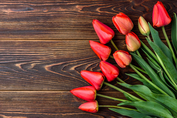 Червоні тюльпани з червоною стрічкою на темному дерев'яному фоні
. - Фото, зображення
