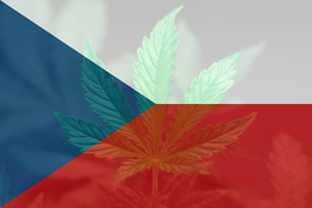 leaf of cannabis marijuana on the flag of Czech. Medical cannabis in the Czech. Weed Decriminalization in Czech. Cannabis legalization in the Czech. - Fotó, kép