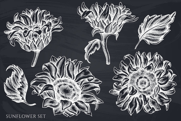 Vector set of hand drawn chalk sunflower - Vektor, Bild