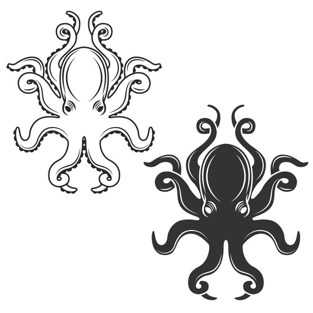 Octopus isolated on white background. - Foto, Imagen