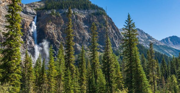 Takakkaw Falls Waterfall in a sunny summer day. 2nd tallest waterfall in Canada. Natural scenery landscape in Yoho National Park, Canadian Rockies, British Columbia. - Photo, Image